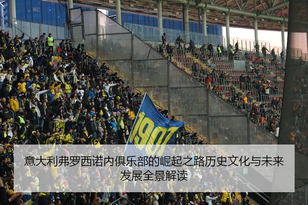 意大利弗罗西诺内俱乐部的崛起之路历史文化与未来发展全景解读