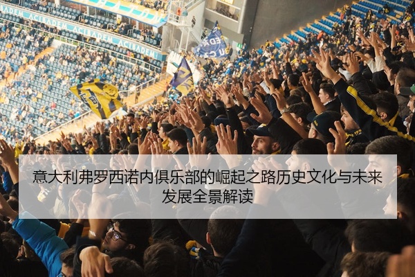 意大利弗罗西诺内俱乐部的崛起之路历史文化与未来发展全景解读