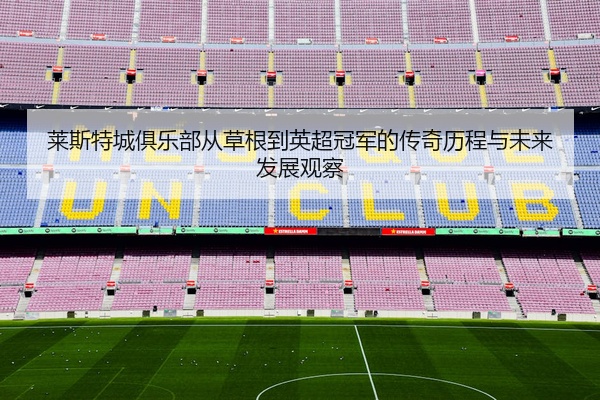 莱斯特城俱乐部从草根到英超冠军的传奇历程与未来发展观察