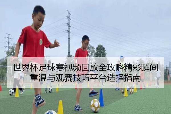 世界杯足球赛视频回放全攻略精彩瞬间重温与观赛技巧平台选择指南