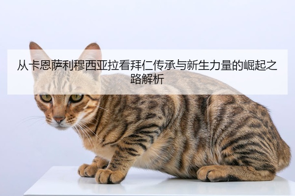 从卡恩萨利穆西亚拉看拜仁传承与新生力量的崛起之路解析