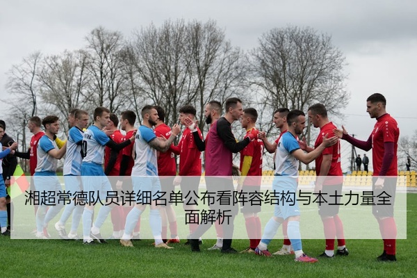 湘超常德队员详细名单公布看阵容结构与本土力量全面解析