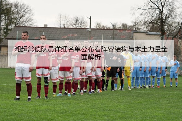 湘超常德队员详细名单公布看阵容结构与本土力量全面解析