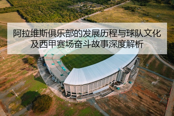 阿拉维斯俱乐部的发展历程与球队文化及西甲赛场奋斗故事深度解析