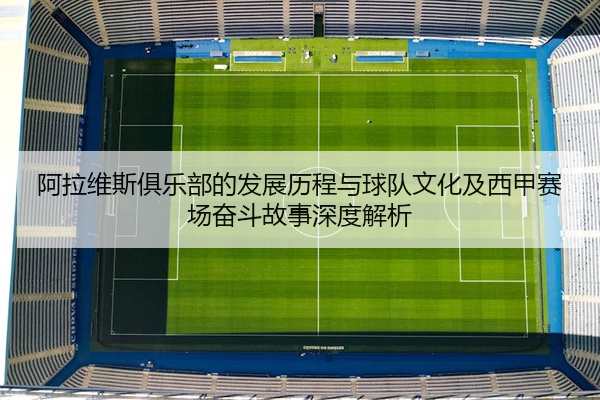 阿拉维斯俱乐部的发展历程与球队文化及西甲赛场奋斗故事深度解析