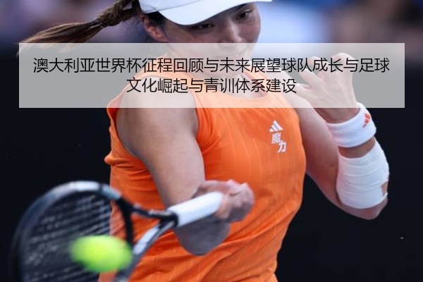 澳大利亚世界杯征程回顾与未来展望球队成长与足球文化崛起与青训体系建设