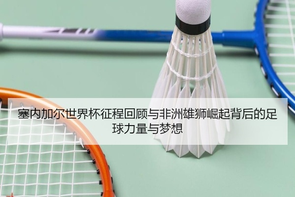塞内加尔世界杯征程回顾与非洲雄狮崛起背后的足球力量与梦想