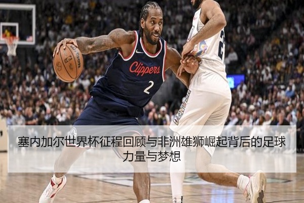 塞内加尔世界杯征程回顾与非洲雄狮崛起背后的足球力量与梦想